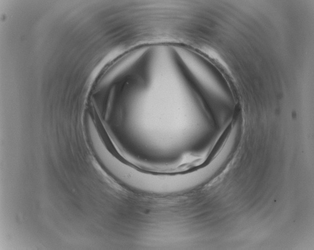 X0000071361181200607142013