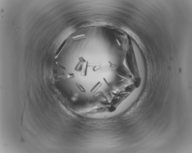X0000071361193200607142013