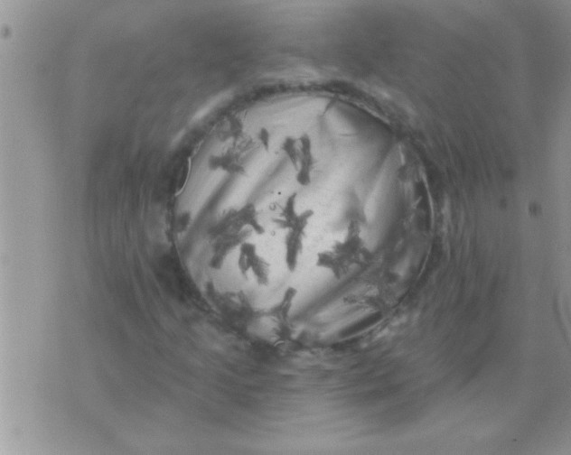 X0000071361205200607142012