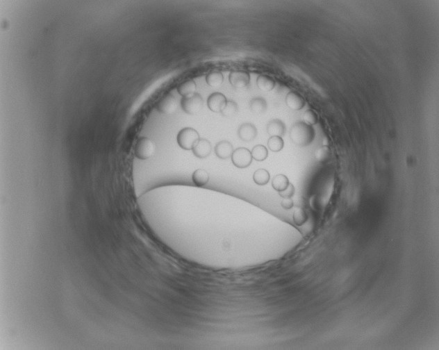 X0000071361208200607142012