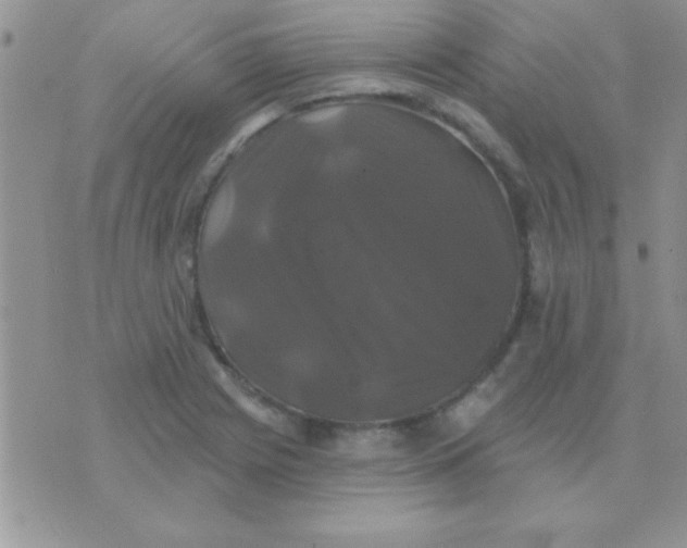 X0000071361225200607142012