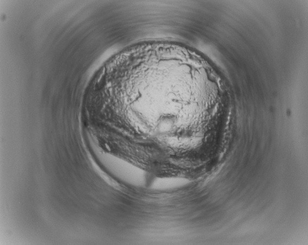 X0000071361237200607142012