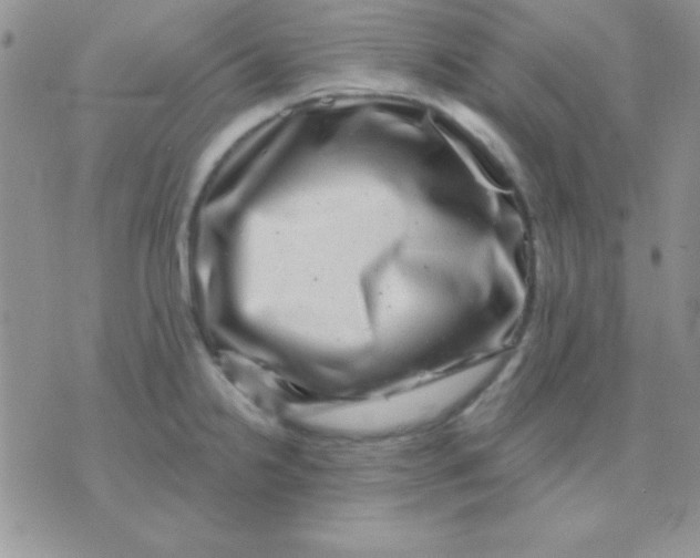 X0000071361238200607142012