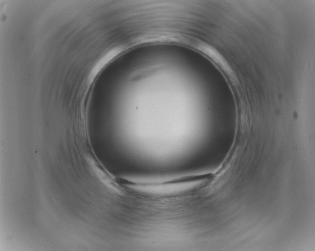 X0000071361242200607142012