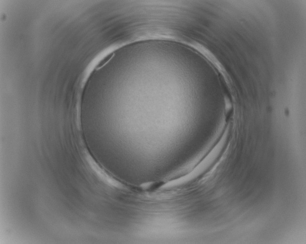 X0000071361246200607142013