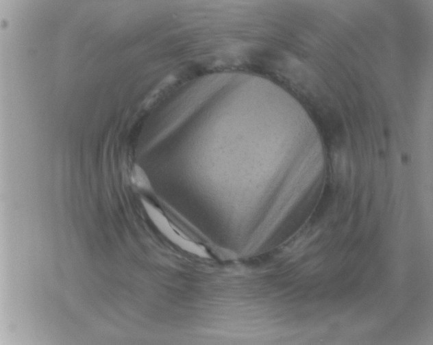 X0000071361250200607142012