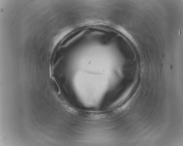 X0000071361269200607142011