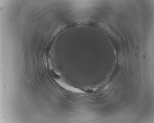 X0000071361298200607142010