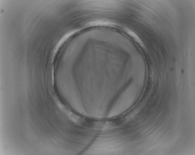 X0000071361323200607142011