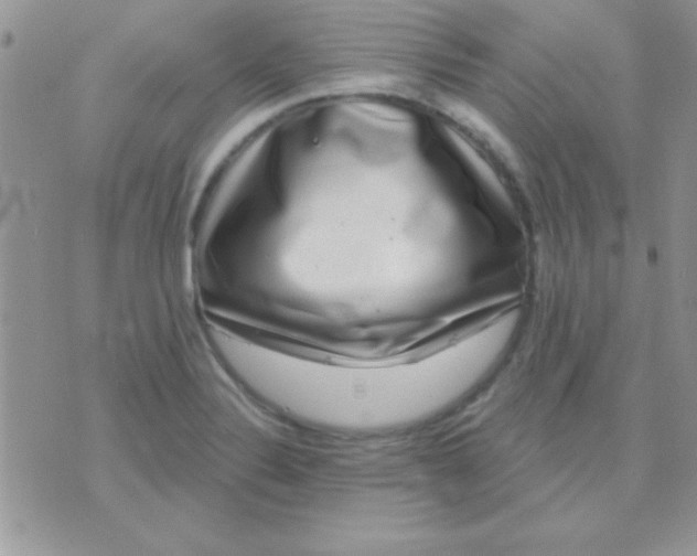 X0000071361324200607142011