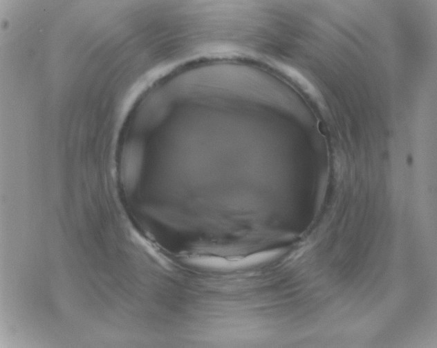 X0000071361327200607142011