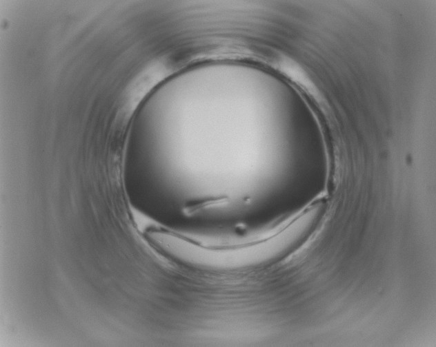X0000071361329200607142011