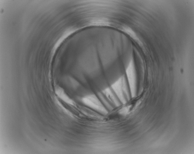 X0000071361331200607142011