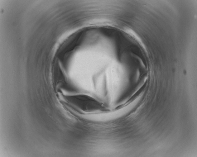 X0000071361336200607142011