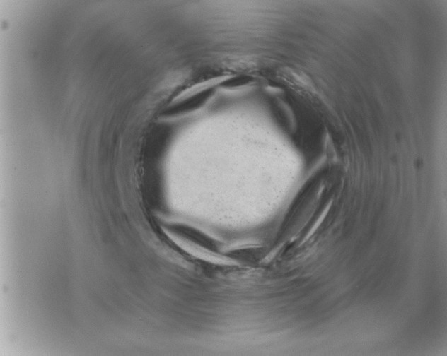 X0000071361345200607142010