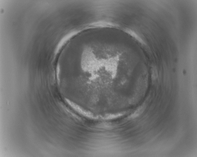 X0000071361358200607142010
