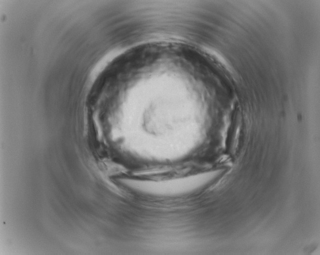 X0000071361371200607142010
