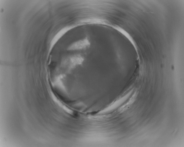 X0000071361389200607142009