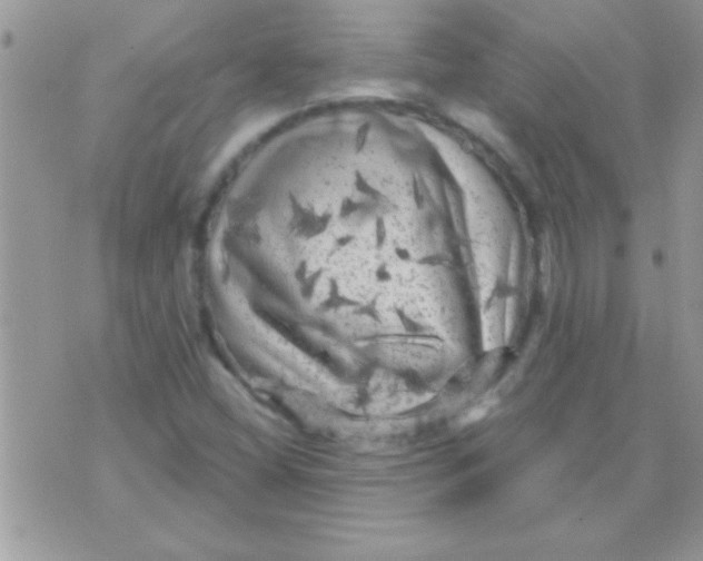 X0000071361404200607142009