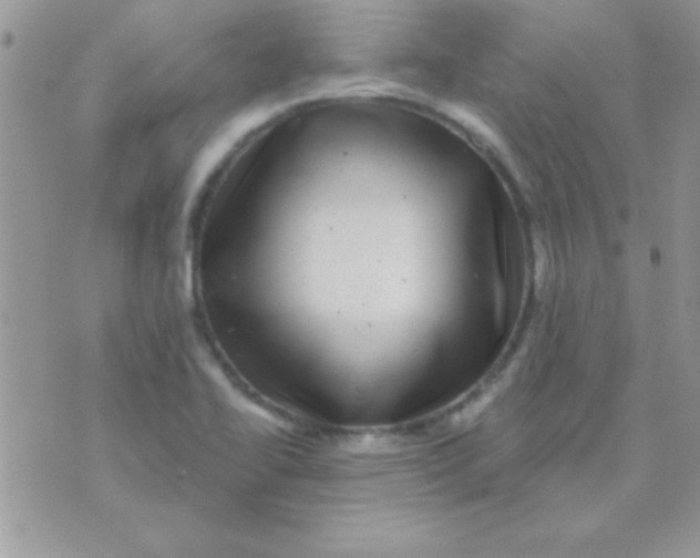 X0000071361414200607142009
