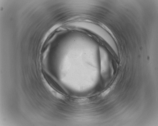 X0000071361434200607142009