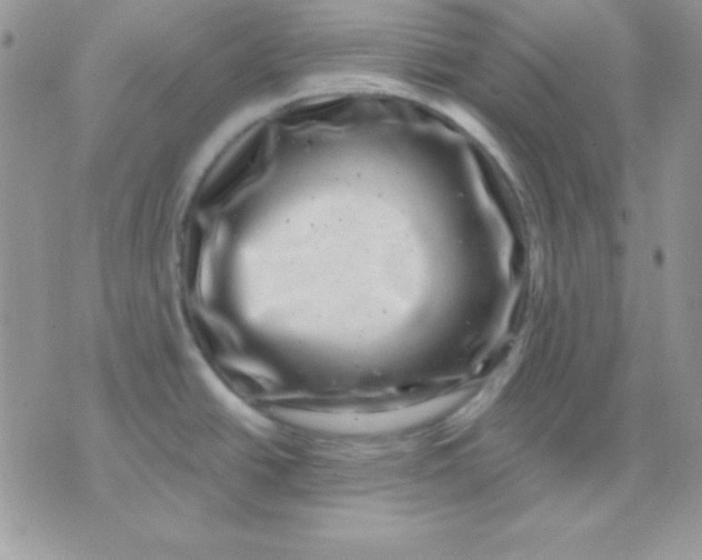 X0000071361438200607142009