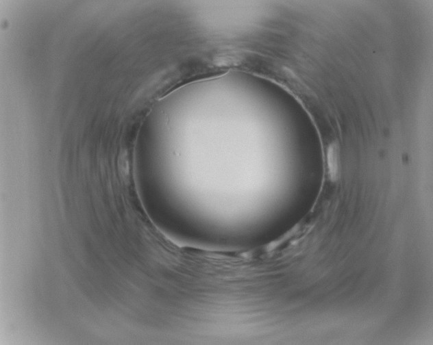 X0000071361443200607142009