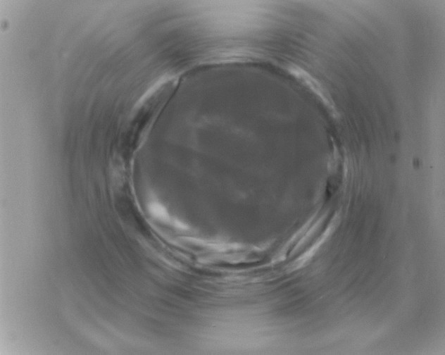 X0000071361449200607142008