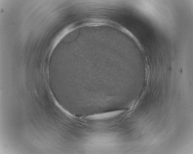 X0000071361487200607142008
