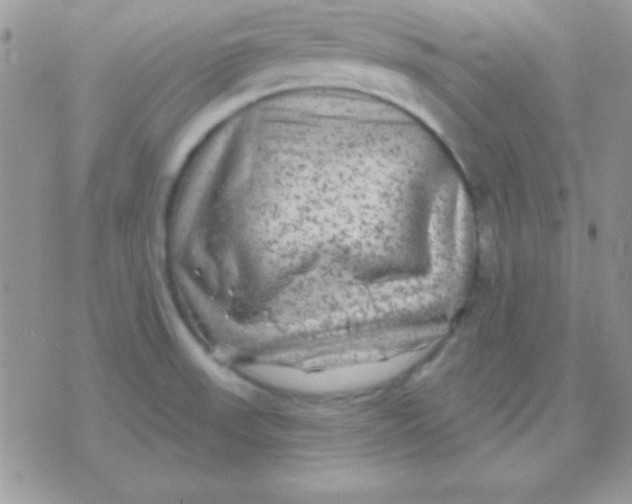 X0000071361523200607142008