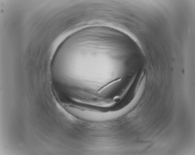 X0000071361527200607142008