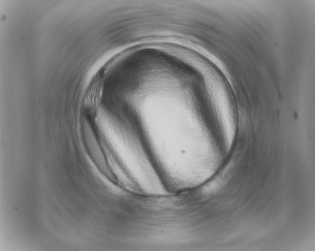 X0000071361533200607142008