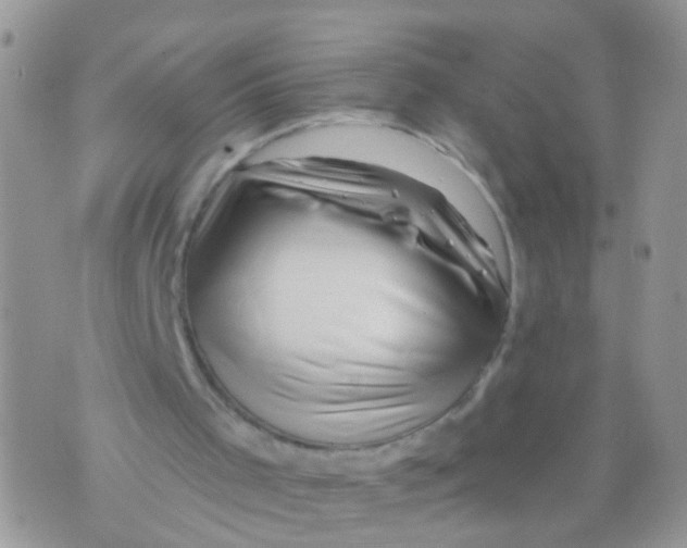X0000071360001200607212134