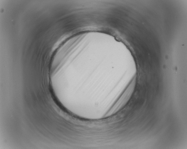 X0000071360011200607212134