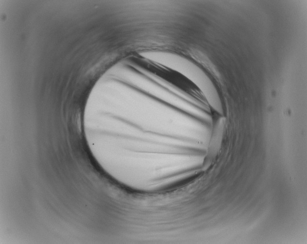 X0000071360021200607212134