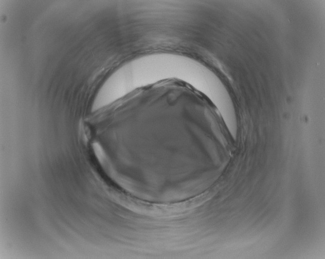 X0000071360027200607212134
