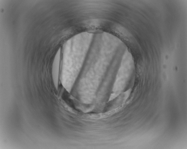 X0000071360037200607212134