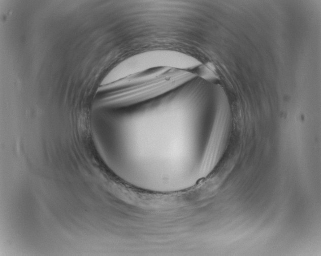X0000071360044200607212133
