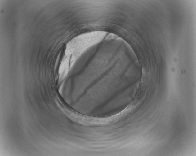 X0000071360048200607212133