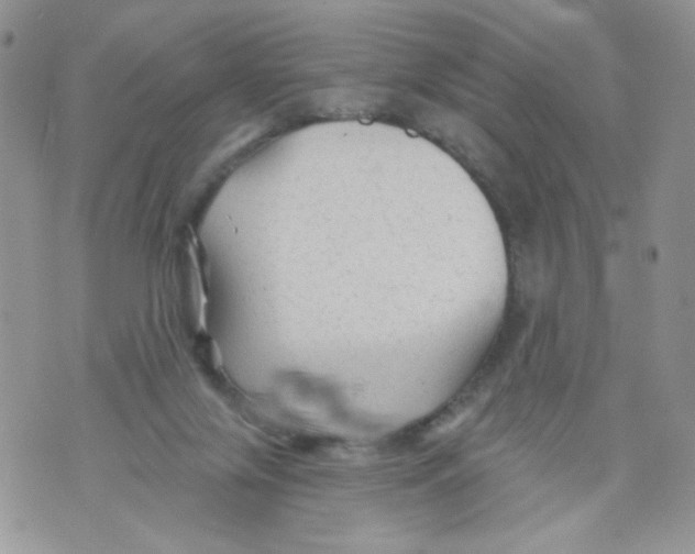 X0000071360071200607212133