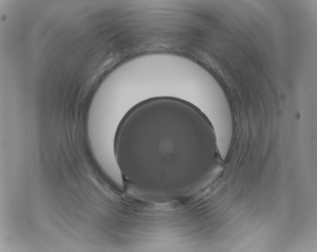 X0000071360072200607212133