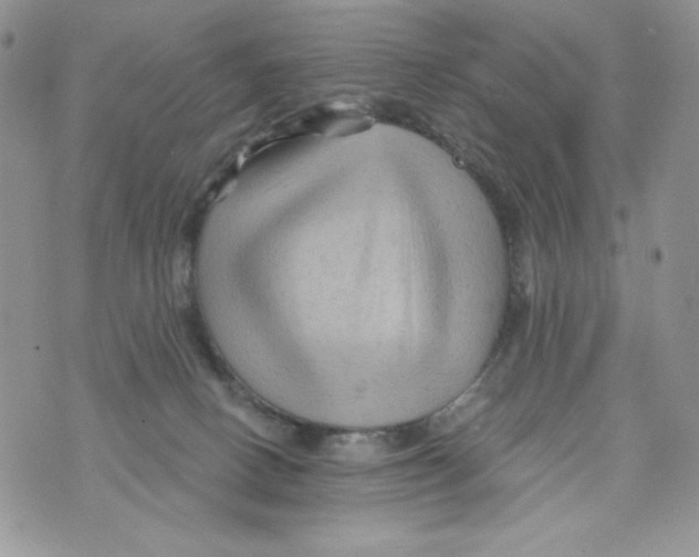 X0000071360082200607212133