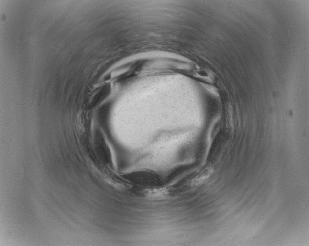 X0000071360088200607212133