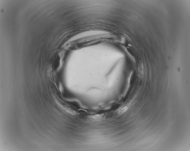 X0000071360092200607212133