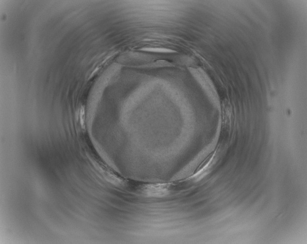 X0000071360094200607212133