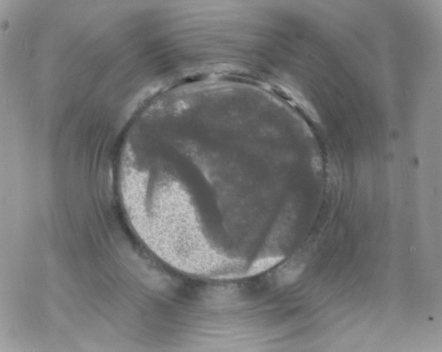 X0000071360110200607212132