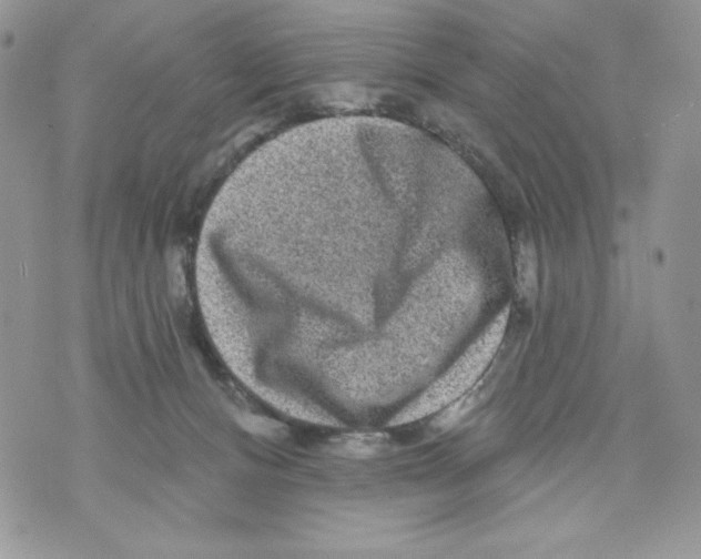 X0000071360128200607212132
