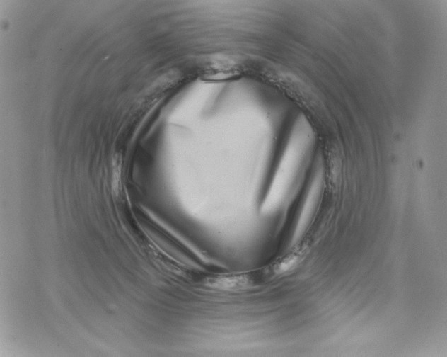 X0000071360129200607212132