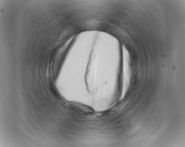 X0000071360131200607212132