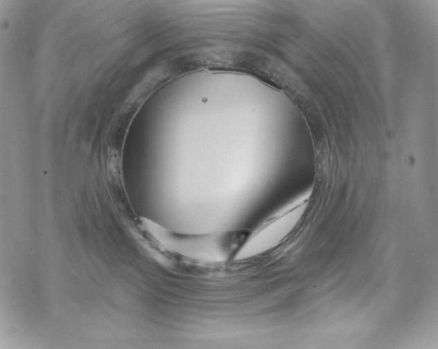 X0000071360141200607212132
